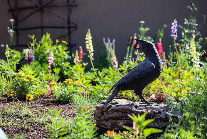 cheerful pollinator garden